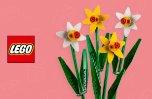 LEGO® eGift Card Flash Deal