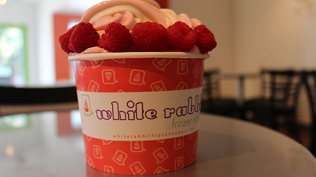 White rabbit frozen yogurt coupons