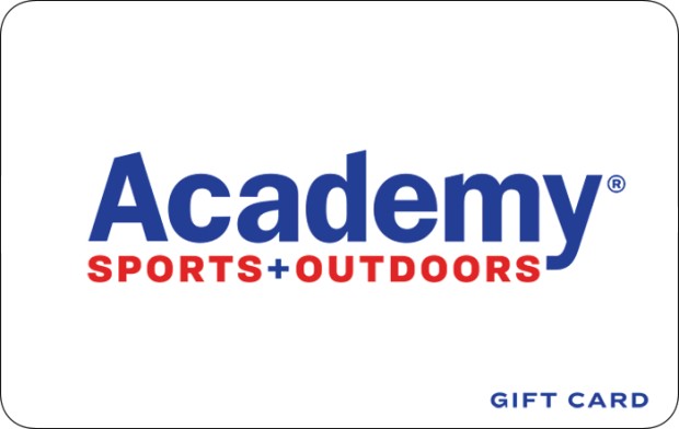 Visa e-Gift Card - $100 + $6 Fee