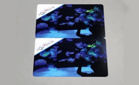 Austin - (2) $25 Gift Cards to Austin Aquarium "Sea to Believe"