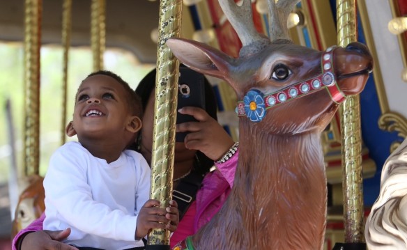 $9 to the Elmwood Park Zoo