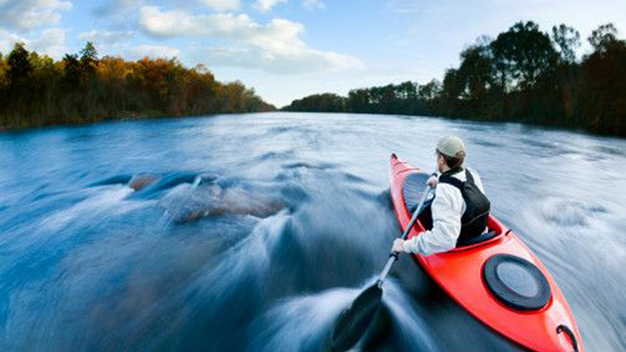 eNRG $36 for a Willamette Falls 2018
