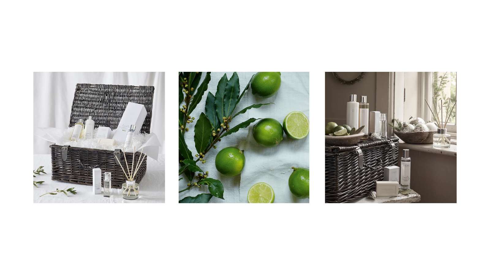 White Company