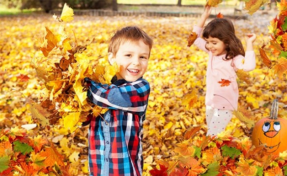 Fall Fest of Greater Rochester 2017 (gen public)