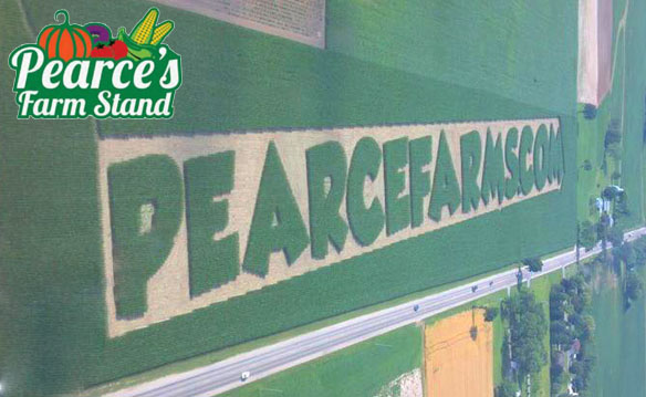 Family Four Pack to Pearce Farms Corn Maze