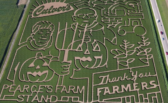 Family Four Pack to Pearce Farms Corn Maze