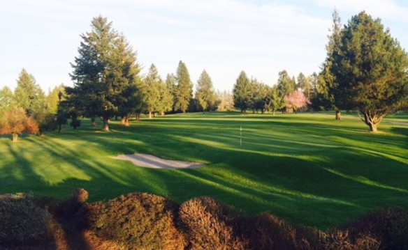 Forest Hills Golf Summer 2018