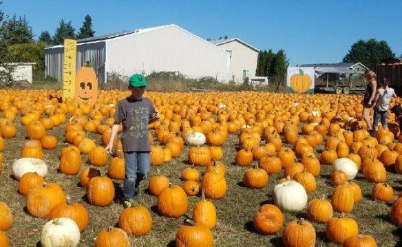 Liepold Farms 2017 PERKS Plus offer