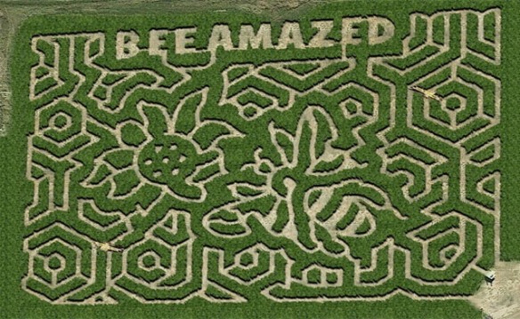 Mid-South Maze September 2017