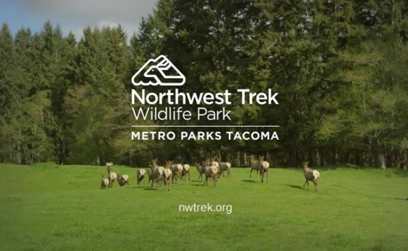 SEATTLE - NW Trek