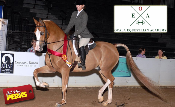 Ocala Equestrian Academy Ladies Night March 2018