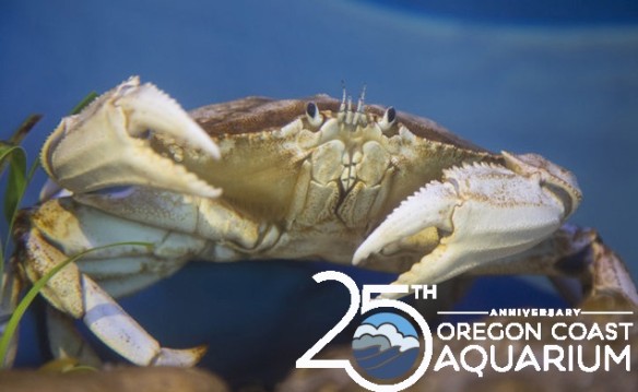 Oregon Coast Aquarium Admission Fall 2017