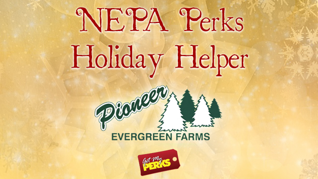 get my perks save half at pioneer evergreen farms christmas tree farms milwaukee