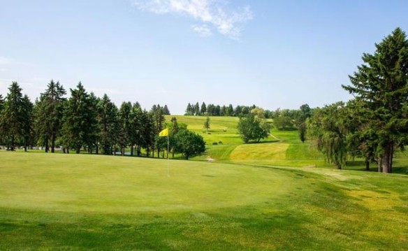 PITT Moon Golf Club 18 Hole ReFeature