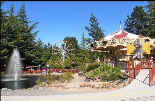 Sonoma TrainTown - Fall 2017 (10.02 Merch)