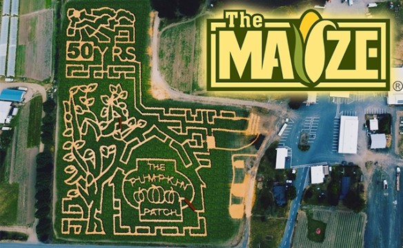The MAiZE - 2017