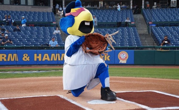 Trenton Thunder Regular Season Tickets