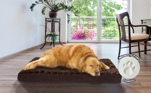 NATIONAL BLOG - NETWORK - Ultra Plush Deluxe Memory Foam Pet Bed