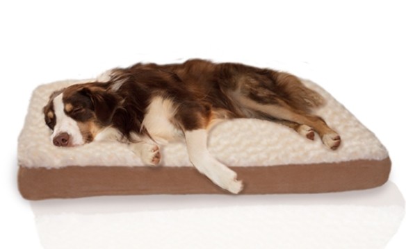 NATIONAL BLOG - NETWORK - Ultra Plush Deluxe Memory Foam Pet Bed