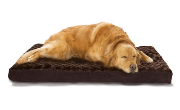 NATIONAL BLOG - NETWORK - Ultra Plush Deluxe Memory Foam Pet Bed