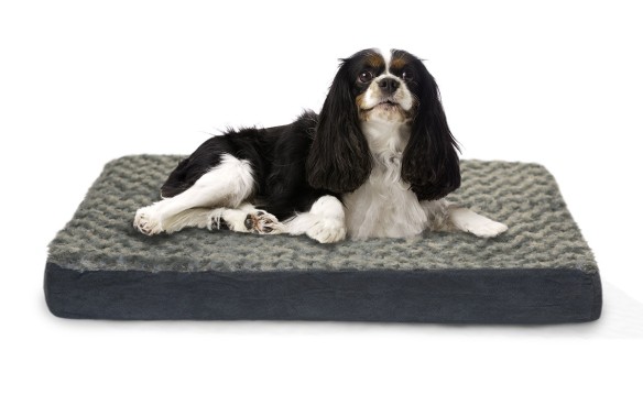 NATIONAL BLOG - NETWORK - Ultra Plush Deluxe Memory Foam Pet Bed