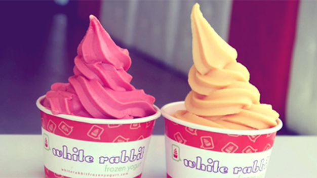 White rabbit frozen yogurt coupons
