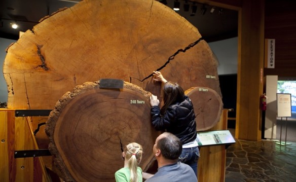 World Forestry Center - Friends & Family Membership