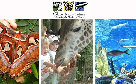 Audubon Zoo, Audubon Aquarium or Audubon Butterfly Garden and Insectarium Tickets!